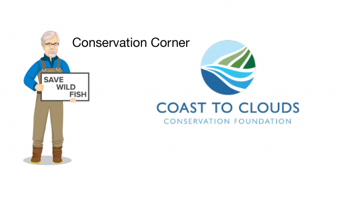 Conservation Corner